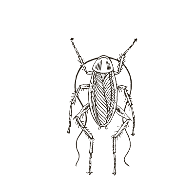 eliminazione definitiva scarafaggi