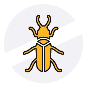 Disinfestazioni Veloci - Tarlo