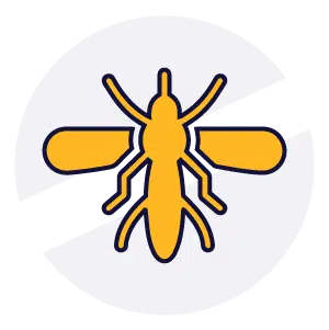 Disinfestazioni Veloci - Zanzara